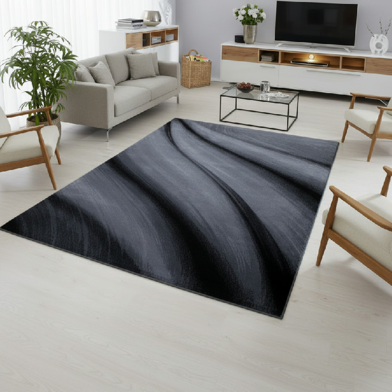 Kusový koberec Ayyildiz Miami 6630 Black 80x150