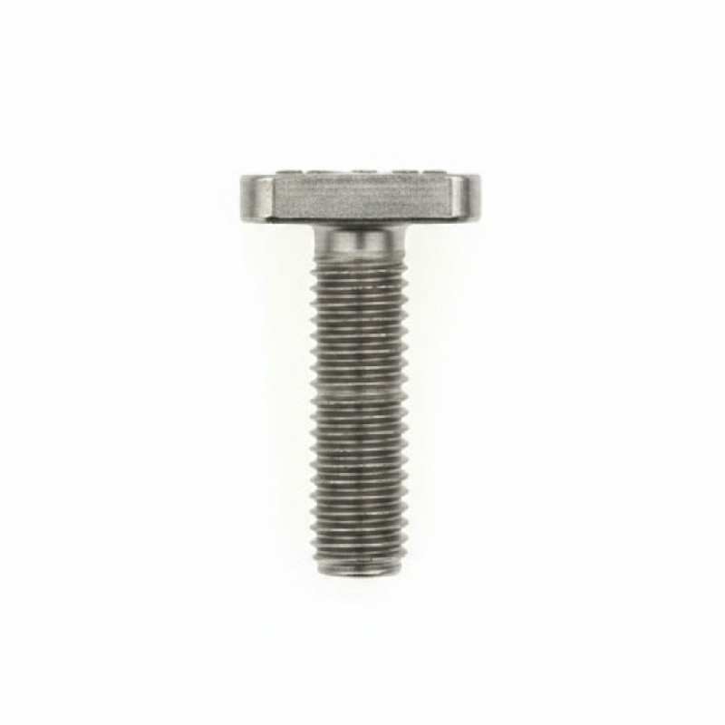T-Šroub M8 x 20 typ 28/15 A2