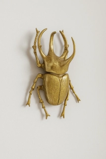 Nástěnná dekorace KARE Design Atlas Beetle Gold
